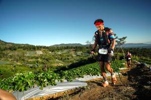 BIB: 9034
                            <button type="button" onclick="openModal(19118981)" class="btn btn-primary btn-sm float-right btn-popup" data-toggle="modal" data-target=".modal-high-quality">
                        <i class="fas fa-shopping-cart"></i> Add to Cart
                    </button>
                                            <button type="button" onclick="isThisMe(19118981, true)" class="btn btn-success btn-sm float-right btn-popup btn-isme hidden" data-toggle="tooltip" data-placement="bottom" title="นี่คือรูปของคุณใช่ไหม คลิกที่นี่เพื่อเอาเข้าอัลบั้ม">
                        <i class="fas fa-plus"></i> Add to album
                    </button>
                    <button type="button" onclick="isThisMe(19118981, false)" class="btn btn-warning btn-sm float-right btn-popup btn-isnotme hidden">
                        <i class="fas fa-ban"></i> Remove from album
                    </button>